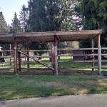 Outdoor Shed Row for Turn Outs