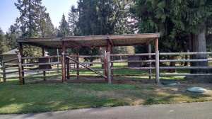 Outdoor Shed Row for Turn Outs