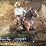 Doug Stroud Junior Working CowHorse Champion 2012 OQHA Summer Classic Magical Remedy