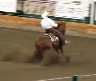 Reno – 2nd place Region 1 Open Reining