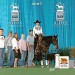 Sam & Woody - Top 5 Youth Working Cow Horse