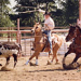 Roping